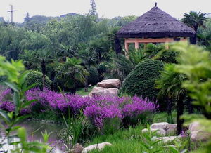 白馬澗生態(tài)園風(fēng)景美圖