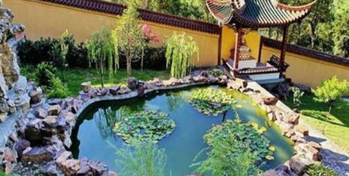 楊氏草莓生態園門票預訂攻略 價格、渠道與游玩指南