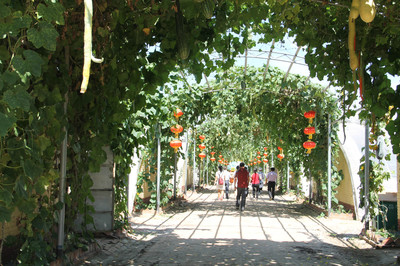 運河古郡 渤海明珠 國際旅博會?？劢股鷳B園新篇章