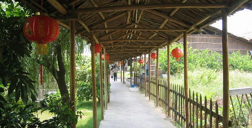 盈香生態園門票全攻略 預訂方式、價格信息與游玩指南