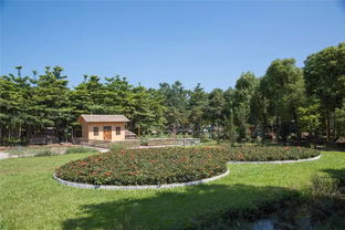 麻涌最美生態園 免費入園，盡享自然饋贈